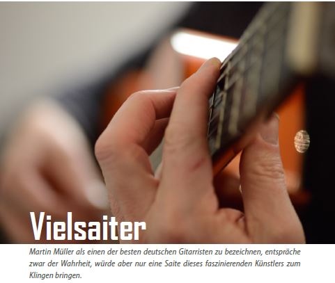 Vielsaiter